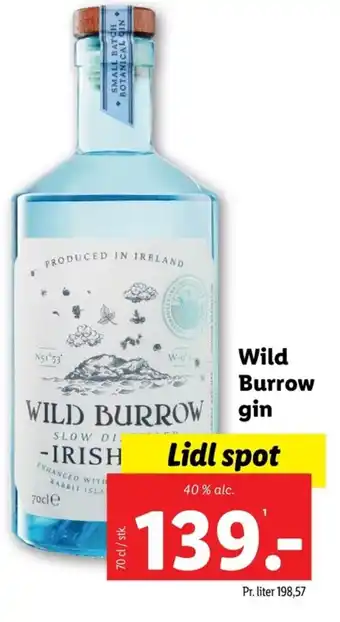 Lidl Wild Burrow gin tilbud