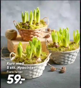 Bilka Ukendt planter tilbud