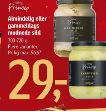 Føtex Salling princip sild tilbud