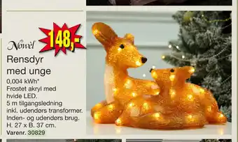 Harald Nyborg Rensdyr med unge tilbud