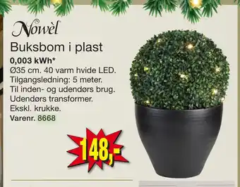 Buksbom i plast