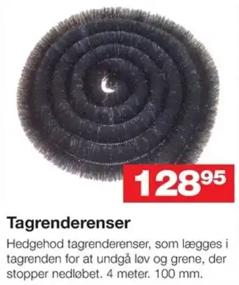 Tagrenderenser