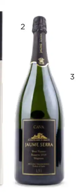 Cava jaume serra