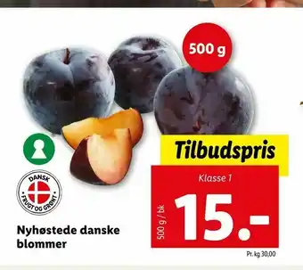 Nyhøstede danske blommer