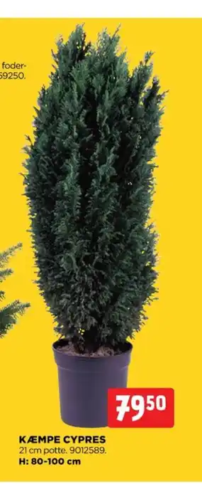 jem & fix Ukendt planter tilbud
