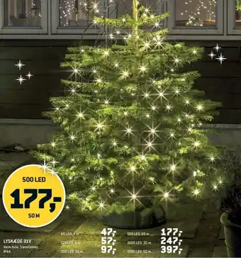 LYSKÆDE 31V