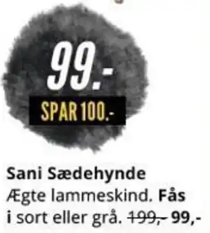 Sani Sædehynde