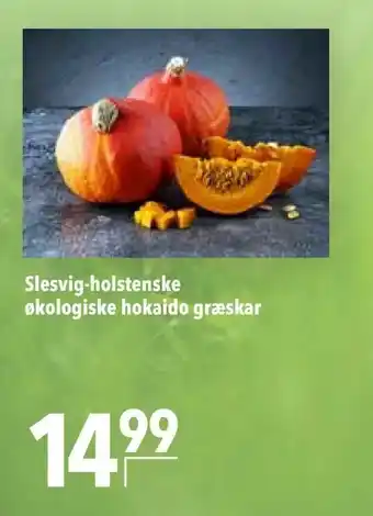 Slesvig-holstenske økologiske hokaido græskar