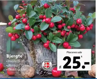 Lidl Bjergte tilbud