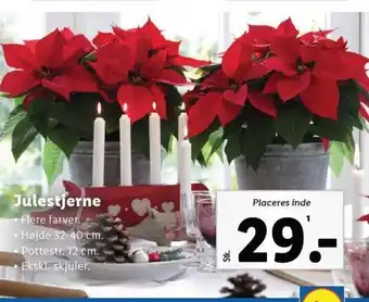 Lidl Julestjerne tilbud