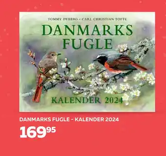 Bog & idé Danmarks fugle - kalender 2024 tilbud