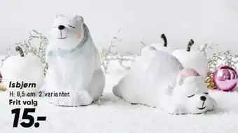 Isbjørn