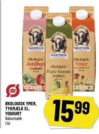 Løvbjerg Økologisk ymer, tykmælk el. yoghurt tilbud
