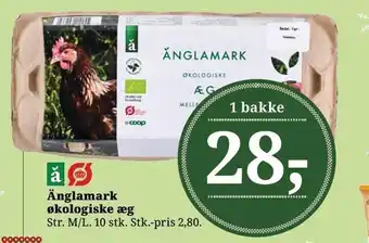 Dagli'Brugsen Änglamark økologisk æg tilbud