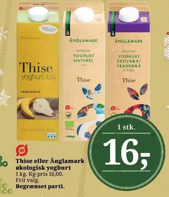 Dagli'Brugsen Thise eller änglamark økologisk yoghurt tilbud