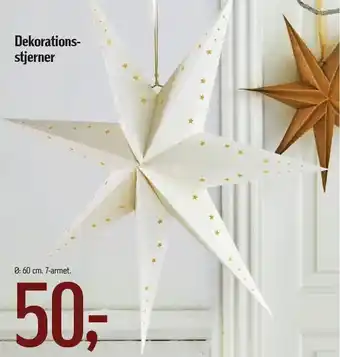 Dekorationsstjerner