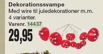 Dekorationssvampe