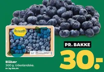 Netto Blåbær tilbud
