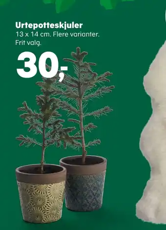 Urtepotteskjuler