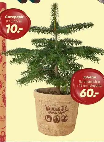 Bilka Juletræ tilbud