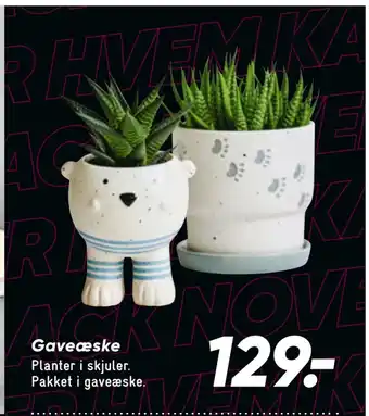 Bilka Gaveæske tilbud