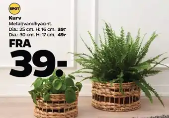Netto Kurv tilbud