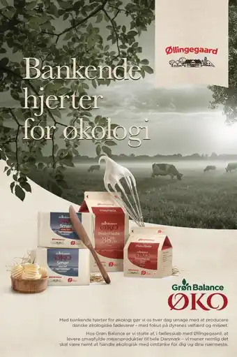 MENY Bankende hjerter for økologi tilbud