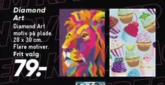 Bilka Diamond art tilbud
