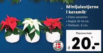 Lidl Minijulestjerne i keramik tilbud
