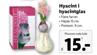 Lidl Ukendt planter tilbud