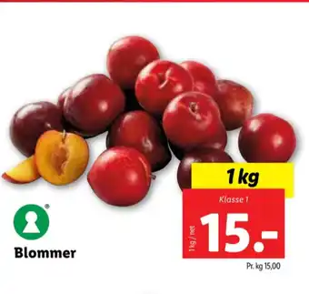 Lidl Ukendt blommer tilbud