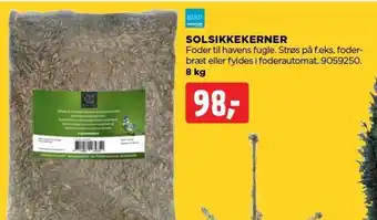 SOLSIKKEKERNER
