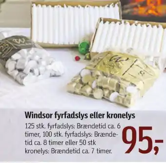 Føtex Windsor kronelys tilbud
