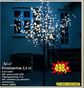 Harald Nyborg Kirsebærtræ 2,2 m tilbud