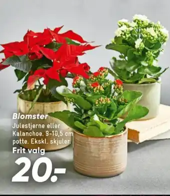 Bilka Ukendt planter tilbud