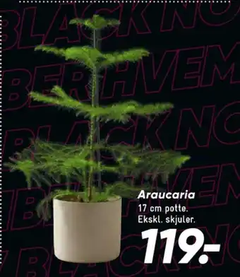 Bilka Ukendt planter tilbud