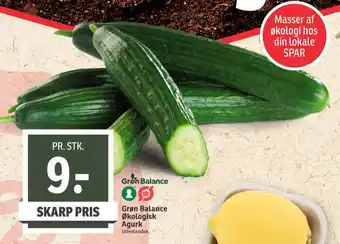 Grøn balance agurk