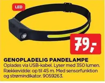 GENOPLADELIG PANDELAMPE