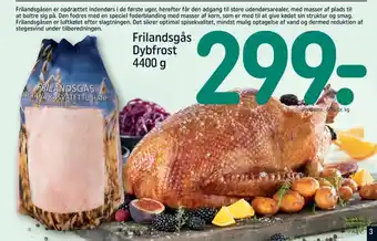 REMA 1000 Ukendt gås tilbud