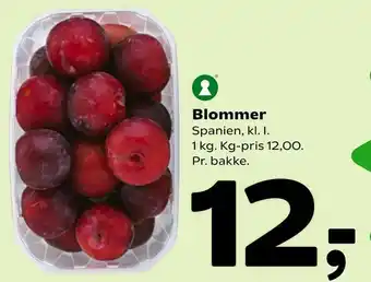 Blommer
