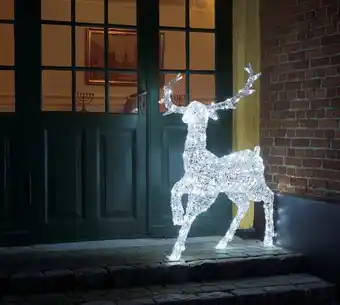 Rensdyr akryl 240 led h125 cm