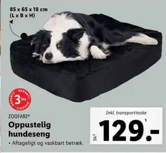 Lidl Zoofari hundesenge tilbud