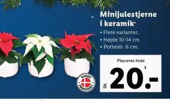 Lidl Minijulestjerne i keramik tilbud