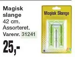 Harald Nyborg Magisk slange tilbud