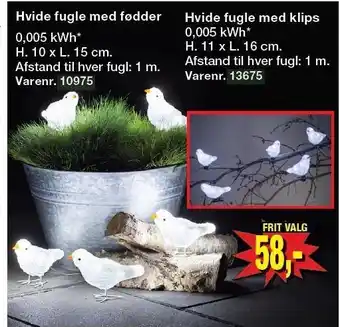 Harald Nyborg Hvide fugle med fødder tilbud