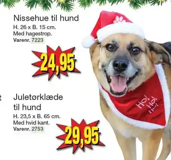 Harald Nyborg Nissehue til hund tilbud