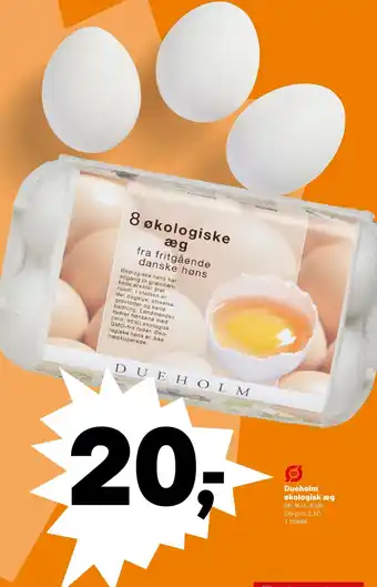 SuperBrugsen Dueholm økologisk æg tilbud