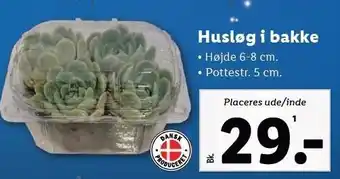Lidl Husløg i bakke tilbud