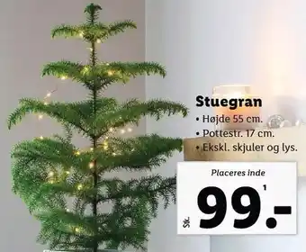 Lidl Stuegran tilbud