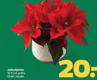 Netto Julestjerne tilbud